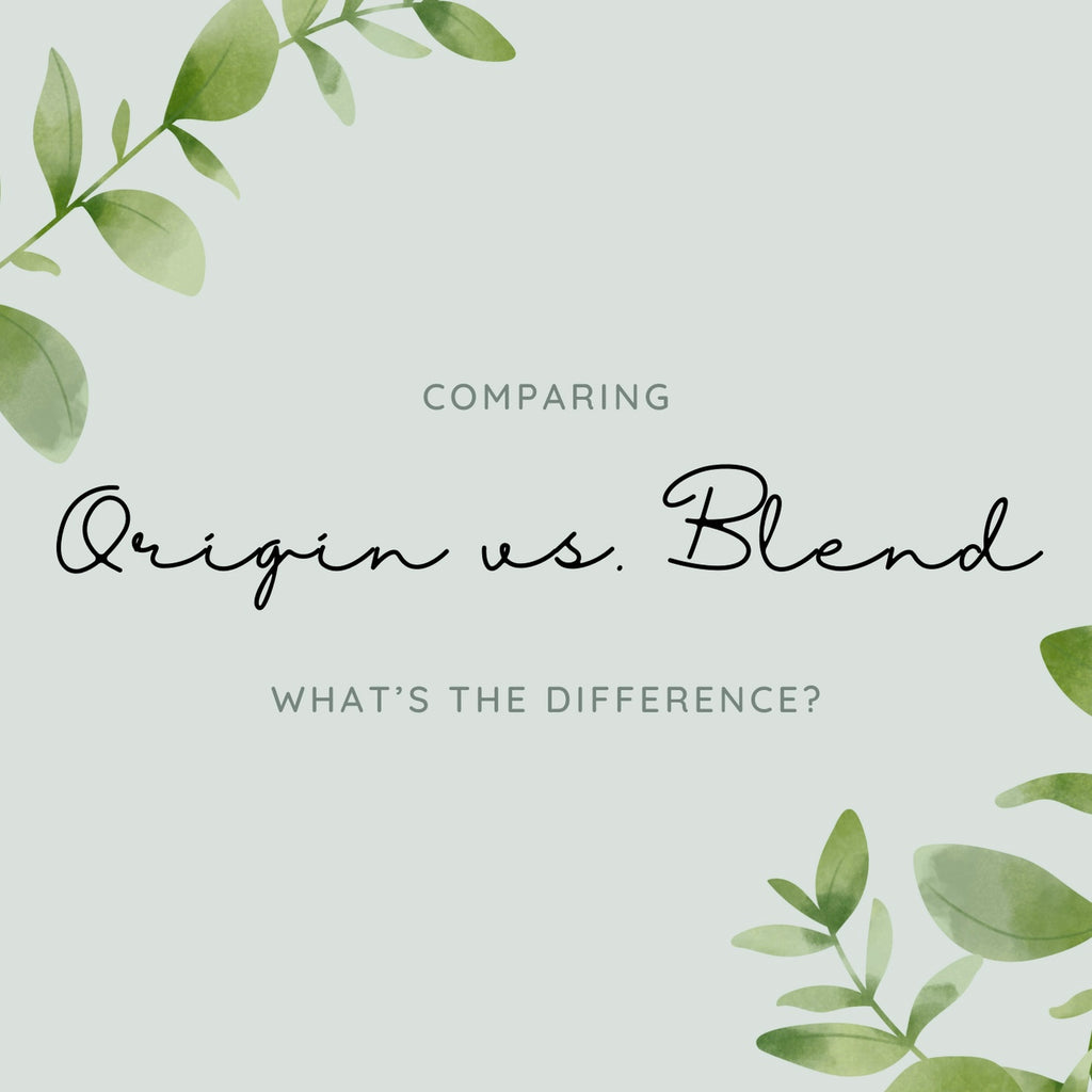 Coffee Origins vs. Blends: What’s the Difference?