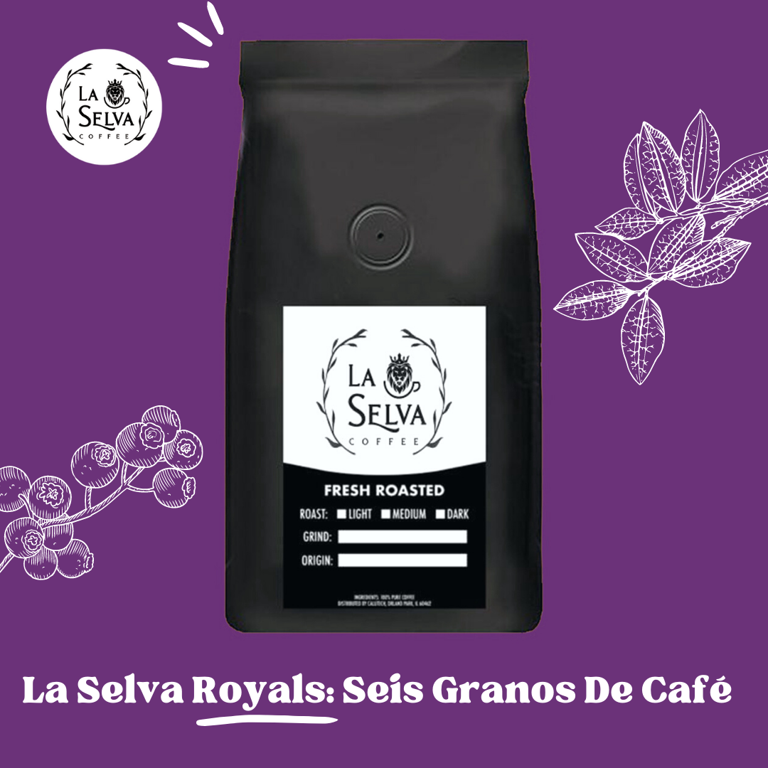 Best Seller: Seis Granos de Café